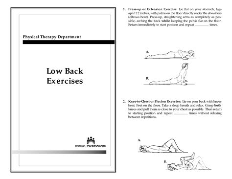 Physical Therapy Exercises For Lower Back Pdf Low Back Exercises By Maclaren1 Low Back