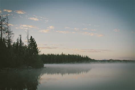 Free Images Landscape Tree Water Nature Marsh Wilderness Cloud