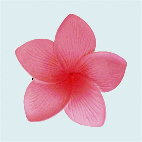 Petits Frangipanier Rose Sur Pince Pin Tahiti Shop