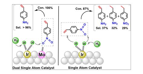 Synergistic Effects For Enhanced Catalysis In A Dual Single Atom