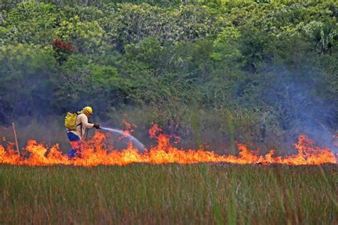 30 Years of Forest Protection in the Yucatán Peninsula