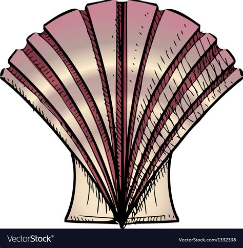 Sea Shell Royalty Free Vector Image Vectorstock
