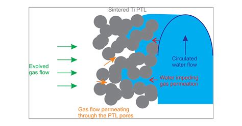 Understanding The Role Of Water Flow And The Porous Transport Layer On