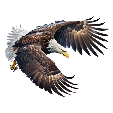 Eagle Flying White Transparent, Eagle, Wing, Fly PNG Transparent Image and Clipart for Free Download