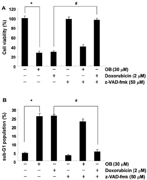 Effects Of A Pan Caspase Inhibitor Z Vad Fmk On Ob Induced Apoptosis Download Scientific