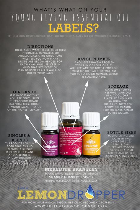 Essential Oil Usage And Safety