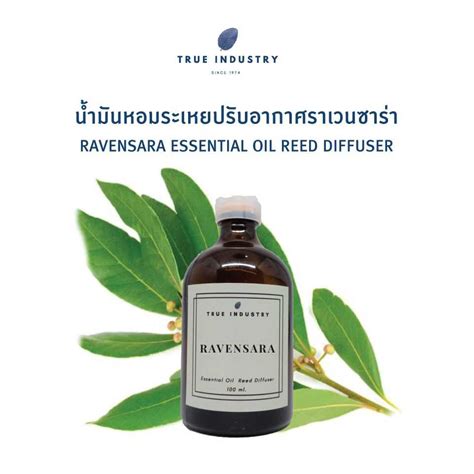 น้ำมันหอมระเหย ทีทรี สำหรับปรับอากาศ Tea Tree Essential Oil Reed