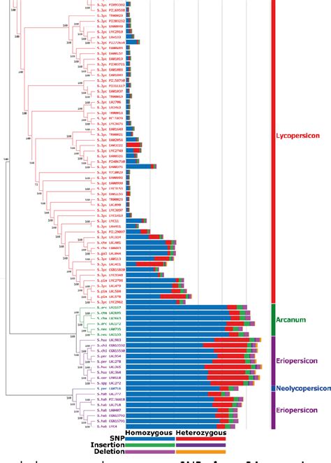 Figure 1 From Exploring Genetic Variation In The Tomato Solanum