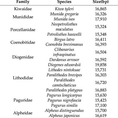 List of Anomura species with their GenBank accession numbers ...