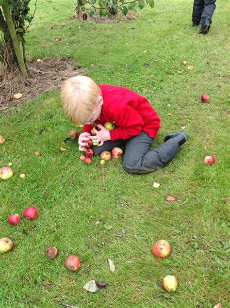 Lapal Primary EYFS Harvest Festival Celebrations