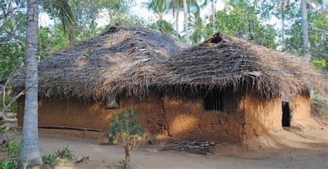 Les Maisons Au Sri Lanka