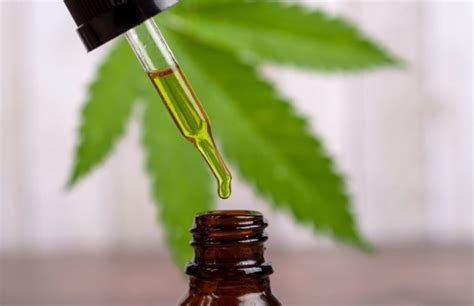 Cannabis Sativa Seed Oil: What It Is and How It's Used in Skincare Products