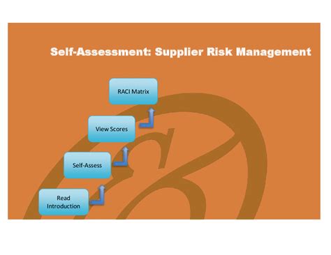 Excel Template Supplier Risk Management Implementation Toolkit