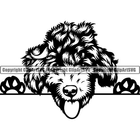 Poodle Peeking Dog Breed Clipart Svg Clipart Svg