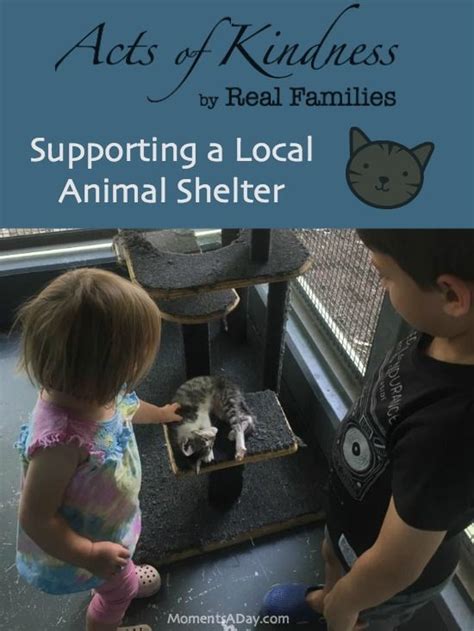 Supporting A Local Animal Shelter Moments A Day Animal Shelter