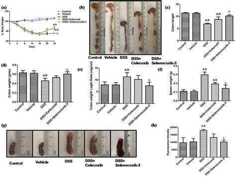 Ah Changes In Body Weights Colon Length Colon Weight Colon