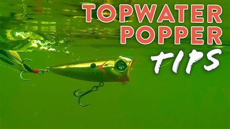 Topwater Popper Tips Tricks Catch MORE Fish On The Surface YouTube