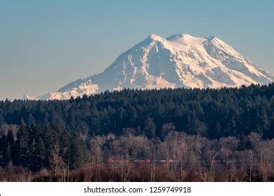 751 Mount Rainier Wildlife Images, Stock Photos & Vectors | Shutterstock