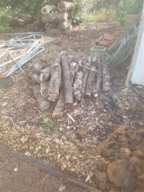 Help With Easy Biochar Drum Biochar Forum At Permies