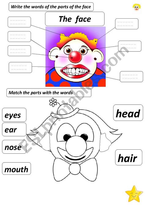 the parts of the face - ESL worksheet by aidamour