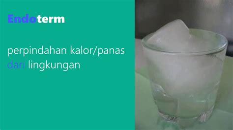 Penjelasan Endoterm Dan Eksoterm Dalam Termokimia Youtube