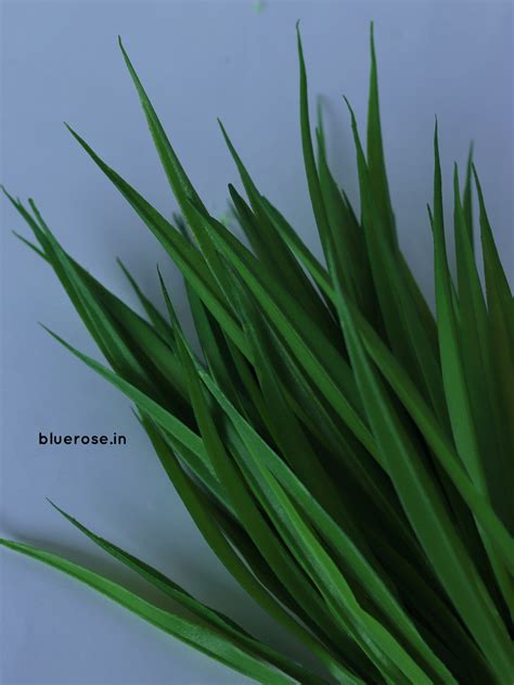 Dragon Grass Bunch Wholesale Artificial Flowers Artificial Leaves Bunch And Decoration Products