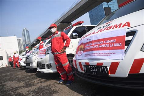 Hari Palang Merah Indonesia Pmi Sejarah Dan Tugas