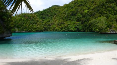 The Best Beaches In Palau The Travel Hacking Life