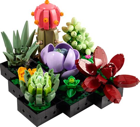 LEGO 10311 Orchidee Und LEGO 10309 Sukkulenten Offiziell Vorgestellt