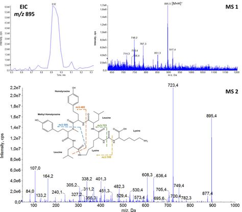 Extracted Ion Chromatogram Eic At Mz 895 Full Scan Spectrum Ms1