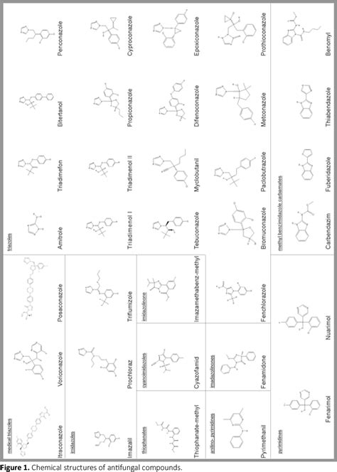 Table 1 From Molecular Mechanisms Of Azole Resistance In Aspergillus