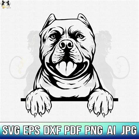 Pitbull Svg American Pit Bull Svg Pitbull Clipart Pitbull Inspire