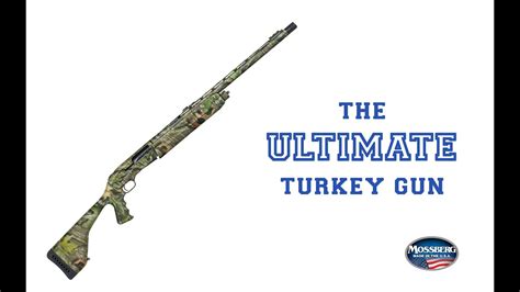 View Best Turkey Gun For Long Range Background Backpacker News