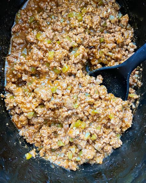 Slow Cooker Sloppy Joes Fit Slow Cooker Queen