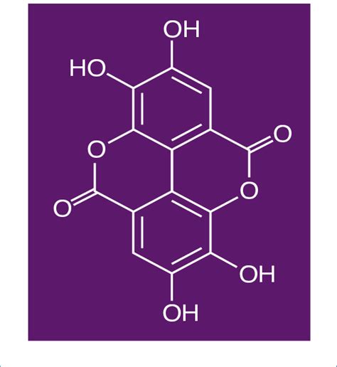 Structure Of Ellagic Acid Download Scientific Diagram