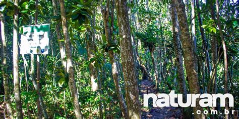 Praia De Camburi E Camburizinho Guia Completo Naturam