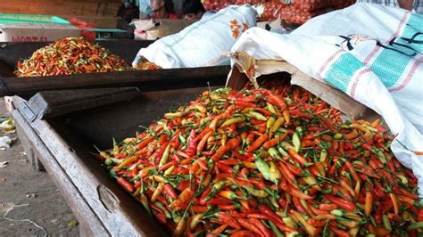 MAKIN PEDAS Harga Cabai Rawit Tembus Rp80 Ribu Per Kg Satgas Pangan