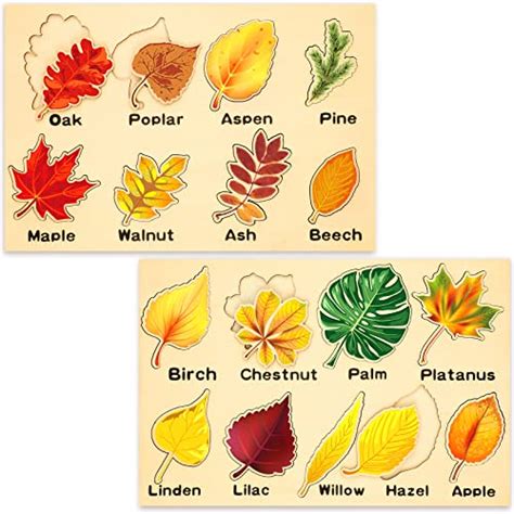 Fall Leaves Printables Crystalandcomp