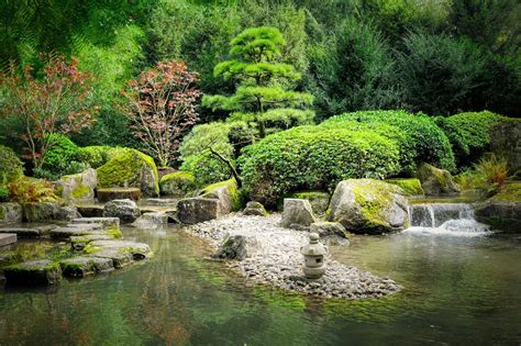 08 Best Zen Garden Ideas On A Budget SlushWeb