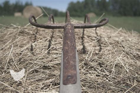 Pitchfork A Simple Guide — Farm And Animals