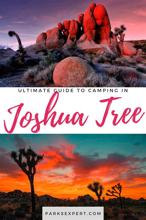 Camping in Joshua Tree National Park: The Ultimate Guide to All 9 ...