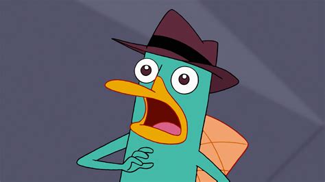 Perry The Platypus Wallpaper Wallpapersafari