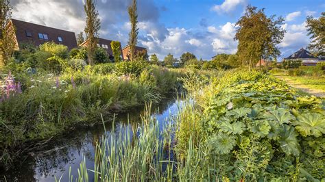 Groene Stad Challenge 2021 Biind