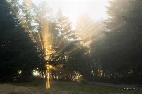 Morning Light Morning Light See Through The Fog At Mt Tam … Flickr