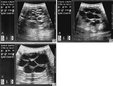 Breeding Management Of The Problem Mare Veterian Key
