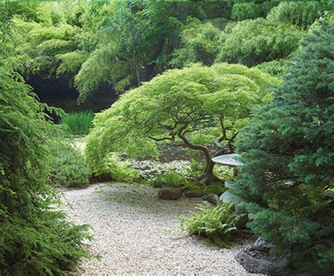 Humes Japanese Stroll Garden North Shore Land Alliance