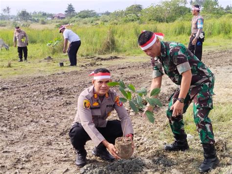 Lestarikan Penghijauan Polresta Palu Tanam 1 000 Bibit Pohon Di 4