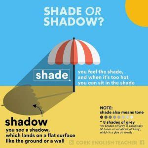 Qual è la differenza tra shade e shadow Step by Step Lingue