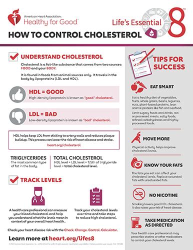 Managing High Ldl Cholesterol Levels Ask The Nurse Expert