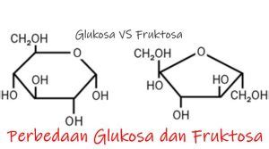 5 Perbedaan Glukosa Dan Fruktosa Jagoan Kelas